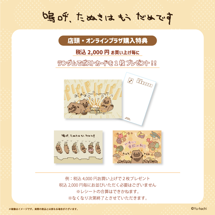 嗚呼、たぬきはもうだめですPOP UP STORE 開催決定！｜NEWS