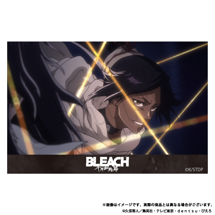【予約販売】BLEACH 千年血戦篇 アクリルブロック 四楓院 夜一 【2月上旬頃順次発送予定】